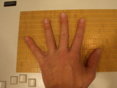 BrailleDis 9000を触る手
